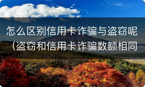 怎么区别信用卡诈骗与盗窃呢（盗窃和信用卡诈骗数额相同哪个判的轻?）
