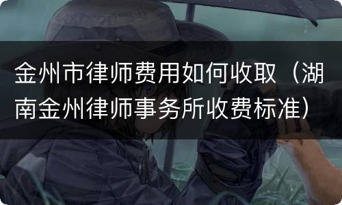 金州市律师费用如何收取（湖南金州律师事务所收费标准）