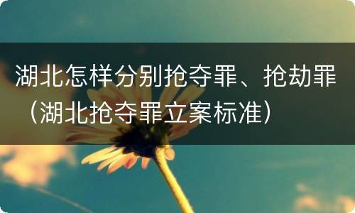 湖北怎样分别抢夺罪、抢劫罪（湖北抢夺罪立案标准）