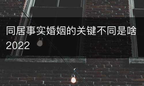 同居事实婚姻的关键不同是啥2022