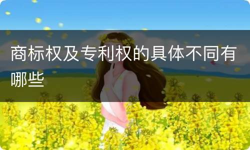 商标权及专利权的具体不同有哪些