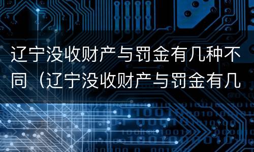 辽宁没收财产与罚金有几种不同（辽宁没收财产与罚金有几种不同地方）