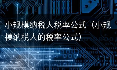 小规模纳税人税率公式（小规模纳税人的税率公式）