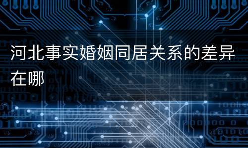 河北事实婚姻同居关系的差异在哪