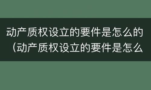 动产质权设立的要件是怎么的（动产质权设立的要件是怎么的）