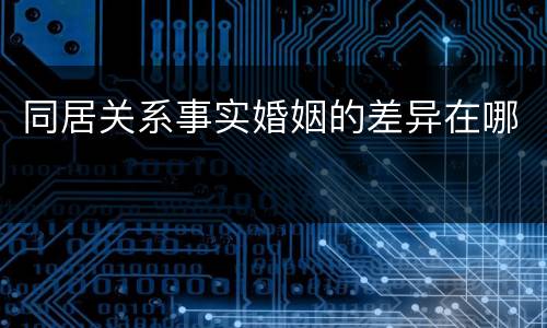 同居关系事实婚姻的差异在哪