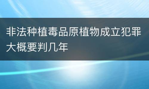 非法种植毒品原植物成立犯罪大概要判几年