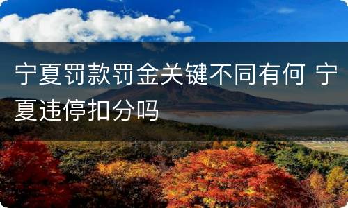 宁夏罚款罚金关键不同有何 宁夏违停扣分吗