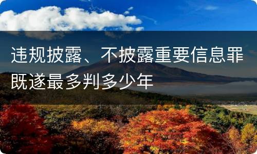 违规披露、不披露重要信息罪既遂最多判多少年