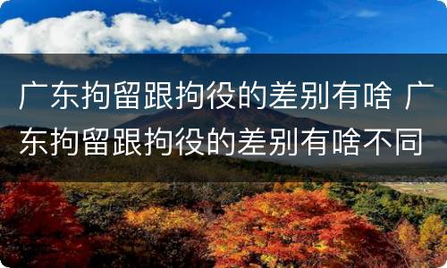 广东拘留跟拘役的差别有啥 广东拘留跟拘役的差别有啥不同