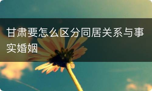 甘肃要怎么区分同居关系与事实婚姻