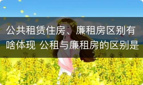 公共租赁住房、廉租房区别有啥体现 公租与廉租房的区别是什么