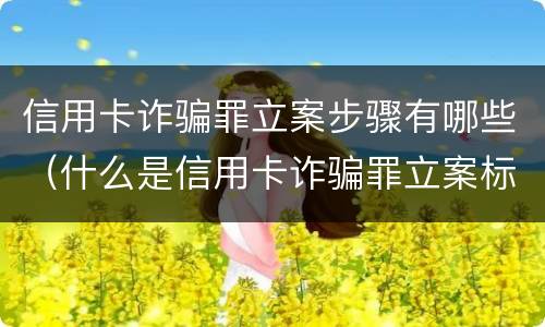 信用卡诈骗罪立案步骤有哪些（什么是信用卡诈骗罪立案标准）