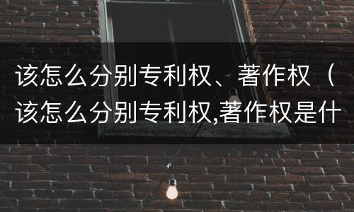 该怎么分别专利权、著作权（该怎么分别专利权,著作权是什么）