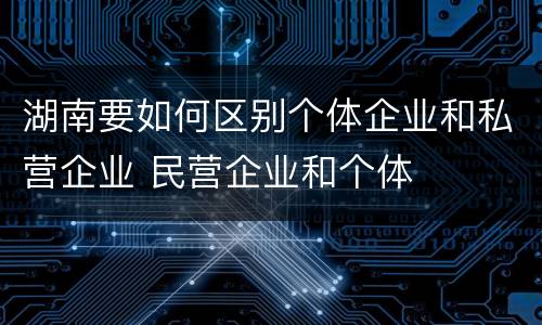 湖南要如何区别个体企业和私营企业 民营企业和个体