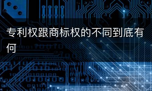 专利权跟商标权的不同到底有何