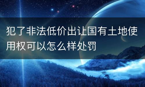 犯了非法低价出让国有土地使用权可以怎么样处罚