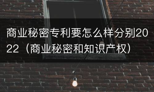 商业秘密专利要怎么样分别2022（商业秘密和知识产权）