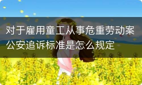 对于雇用童工从事危重劳动案公安追诉标准是怎么规定