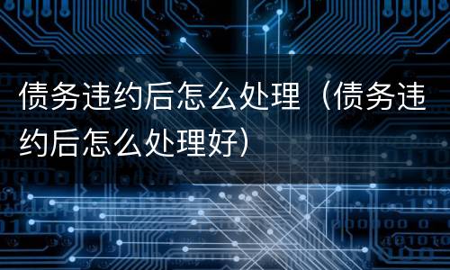 债务违约后怎么处理（债务违约后怎么处理好）