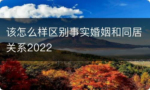 该怎么样区别事实婚姻和同居关系2022