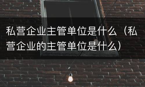 私营企业主管单位是什么（私营企业的主管单位是什么）