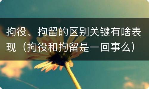 拘役、拘留的区别关键有啥表现（拘役和拘留是一回事么）