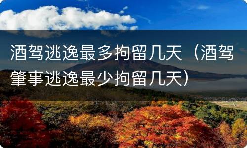 酒驾逃逸最多拘留几天（酒驾肇事逃逸最少拘留几天）