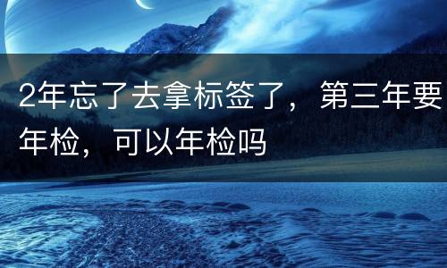 2年忘了去拿标签了，第三年要年检，可以年检吗