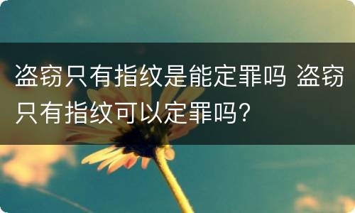 盗窃只有指纹是能定罪吗 盗窃只有指纹可以定罪吗?