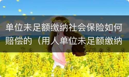 单位未足额缴纳社会保险如何赔偿的（用人单位未足额缴纳社保,劳动者如何处理）