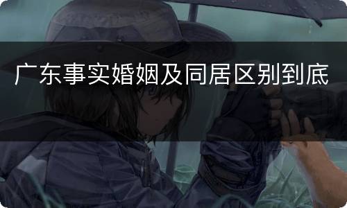 广东事实婚姻及同居区别到底