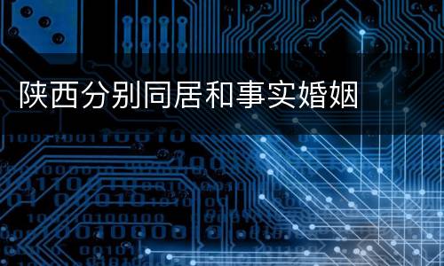 陕西分别同居和事实婚姻