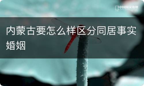 内蒙古要怎么样区分同居事实婚姻