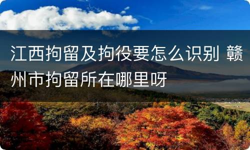 江西拘留及拘役要怎么识别 赣州市拘留所在哪里呀