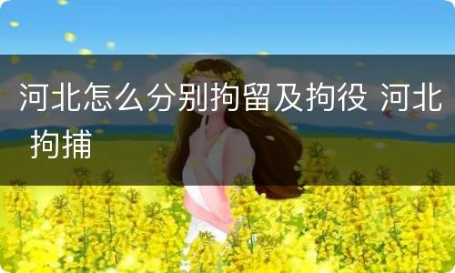 河北怎么分别拘留及拘役 河北 拘捕