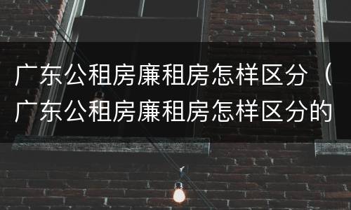 广东公租房廉租房怎样区分（广东公租房廉租房怎样区分的）