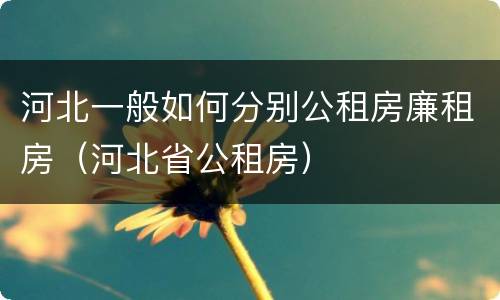 河北一般如何分别公租房廉租房（河北省公租房）