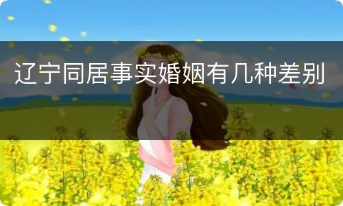 辽宁同居事实婚姻有几种差别