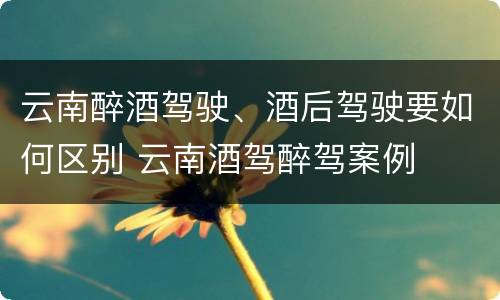 云南醉酒驾驶、酒后驾驶要如何区别 云南酒驾醉驾案例