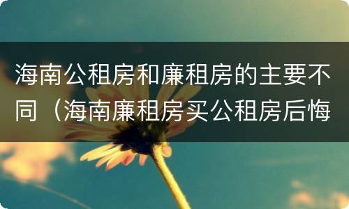 海南公租房和廉租房的主要不同（海南廉租房买公租房后悔了）