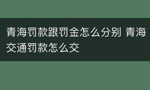 青海罚款跟罚金怎么分别 青海交通罚款怎么交