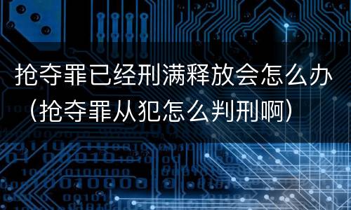抢夺罪已经刑满释放会怎么办（抢夺罪从犯怎么判刑啊）