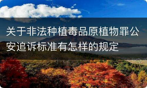 关于非法种植毒品原植物罪公安追诉标准有怎样的规定