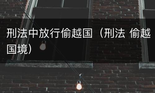 刑法中放行偷越国（刑法 偷越国境）