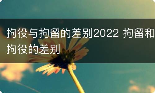 拘役与拘留的差别2022 拘留和拘役的差别
