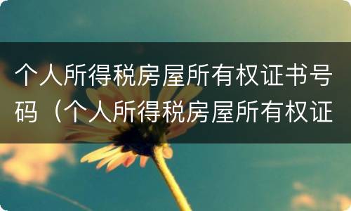 个人所得税房屋所有权证书号码（个人所得税房屋所有权证书号码怎么填）