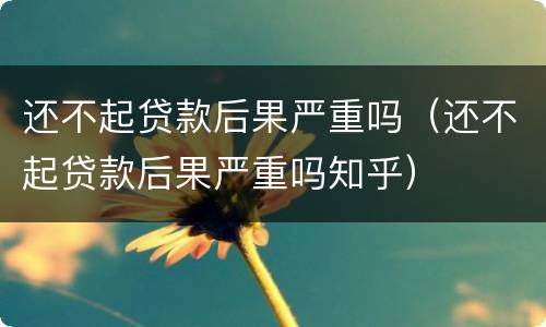 还不起贷款后果严重吗（还不起贷款后果严重吗知乎）
