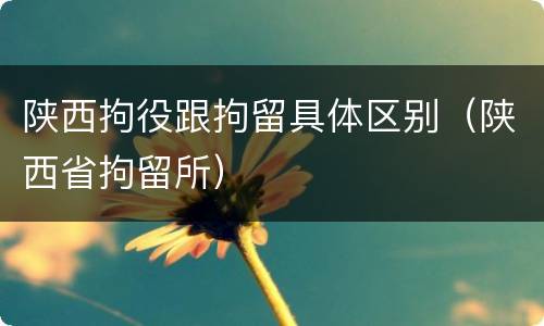 陕西拘役跟拘留具体区别（陕西省拘留所）