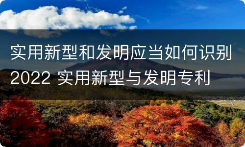 实用新型和发明应当如何识别2022 实用新型与发明专利